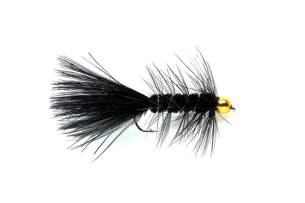 Wooly Bugger Black Mit Goldkopf 3 Wooly Bugger Black Mit Goldkopf