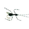 Bill´s Black Flying Ant 1 Bill´s Black Flying Ant -Bestes Angeln Geschäft 1722xx