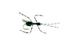 Bill´s Black Flying Ant