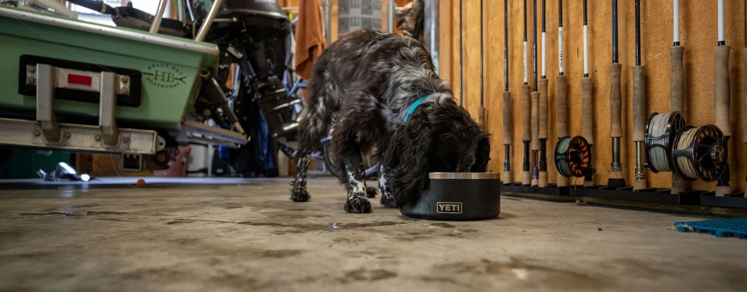 Yeti Boomer 8 Dog Bowl 8 Yeti Boomer 8 Dog Bowl – Bild 6