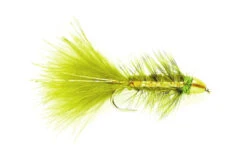 Golden Bullet Olive Flash