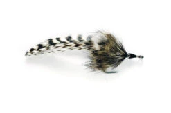 Tarpon Rabbit Roach
