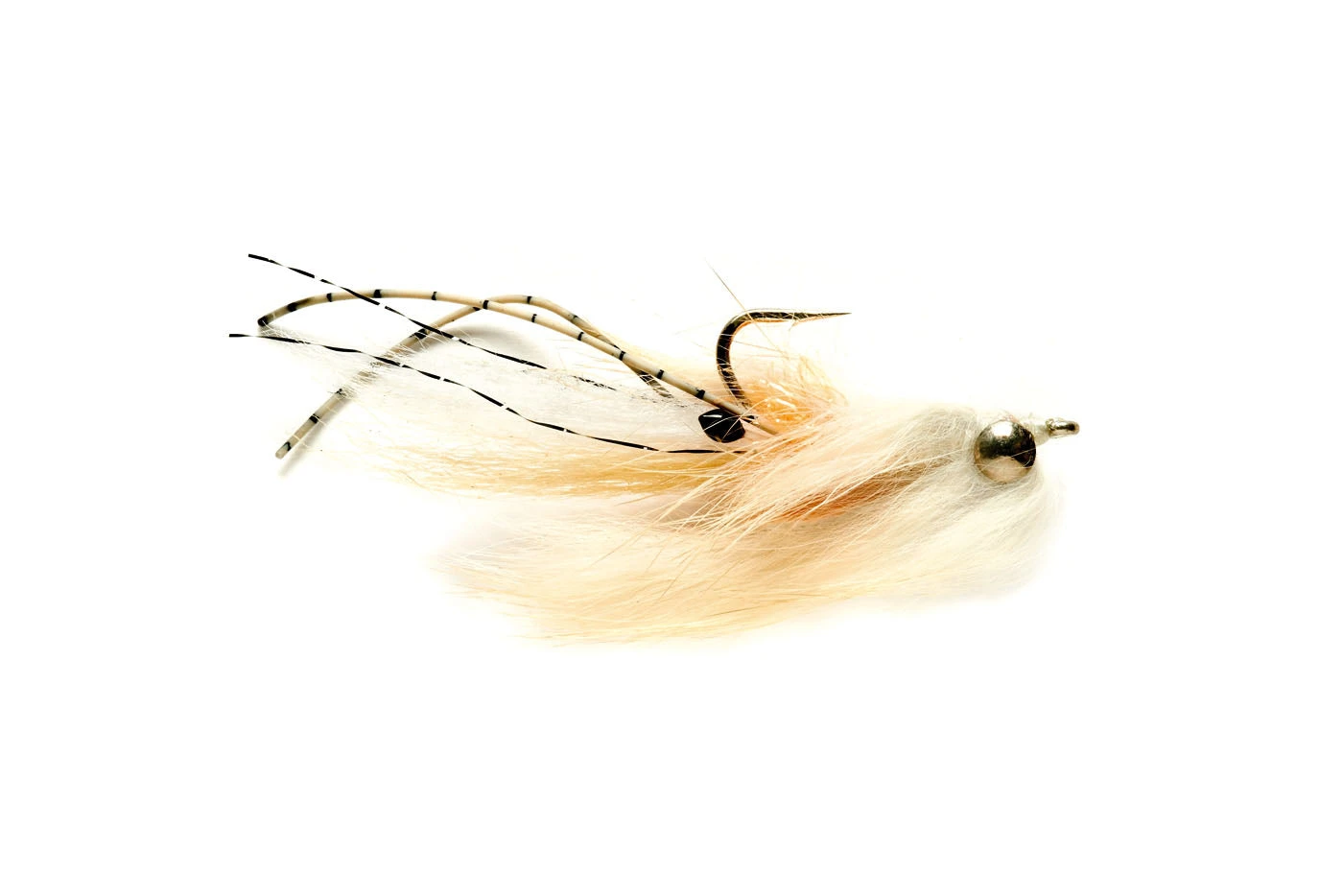 Skittle Mantis Shrimp 3 Skittle Mantis Shrimp