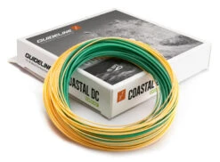 Guideline Coastal Evolve WF Fast Intermediate Fliegenschnur