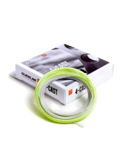 Guideline 4-Cast WF-F