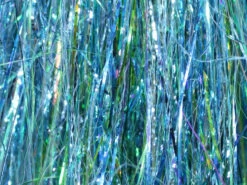 Frödin SSS Flash 28 Frödin SSS Flash -Bestes Angeln Geschäft SSSFLA 03 1024x 5e37b7f5 ec63 4ff6 a102 9996e2d0b0fd