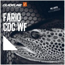 Fario CDC WF Fliegenschnur -Bestes Angeln Geschäft WEB Image Fario CDC WF Float 106879 2 1959173336 plid 153421