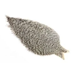 Whiting Coq De Leon Cape -Bestes Angeln Geschäft Whiting 20 20Coq 20de 20leon 20Grizzly