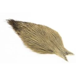 Whiting Coq De Leon Cape -Bestes Angeln Geschäft Whiting 20 20Coq 20de 20leon 20Light 20Ginger 20Brenda2