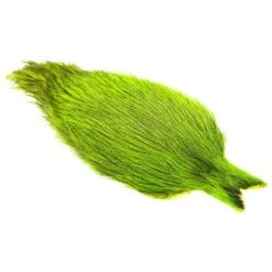 Whiting Coq De Leon Cape -Bestes Angeln Geschäft Whiting 20rooster 20 20Coq 20de 20leon 20Badger 20 20Chartreuse