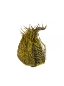 Whiting Bugger Pack 37 Whiting Bugger Pack -Bestes Angeln Geschäft bugger pack grizzly dark olive