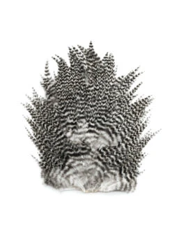 Feathermaster 4B Rooster Saddle -Bestes Angeln Geschäft frathermaster saddle grizzly