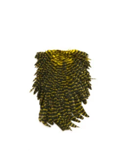 FUTURE FLY Signature Hen Saddle 18 FUTURE FLY Signature Hen Saddle -Bestes Angeln Geschäft futurefly signature hen saddle grizzly yellow