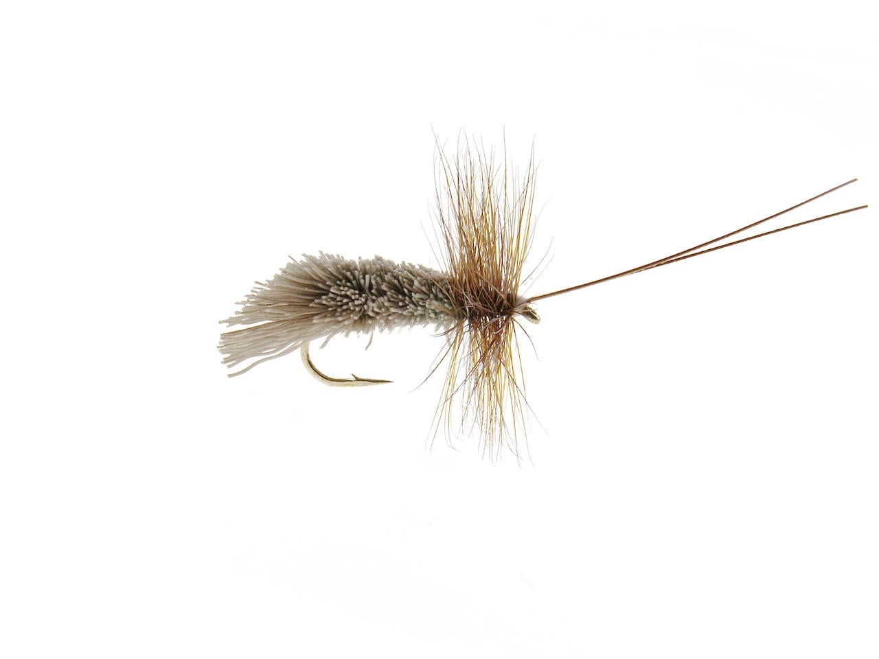 Goddard Caddis 3 Goddard Caddis