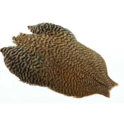 Whiting Freshwater Streamer Cape 11 Whiting Freshwater Streamer Cape -Bestes Angeln Geschäft img 3720