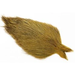 Whiting Coq De Leon Cape -Bestes Angeln Geschäft img 7840