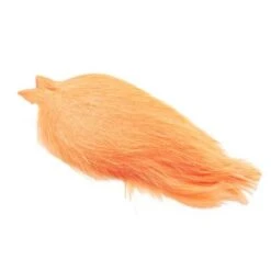 Whiting Coq De Leon Cape -Bestes Angeln Geschäft img 9402 kopier