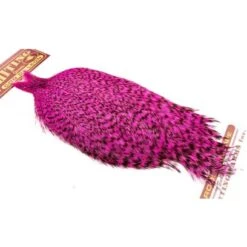 Whiting Coq De Leon Cape -Bestes Angeln Geschäft img 9403 kopier