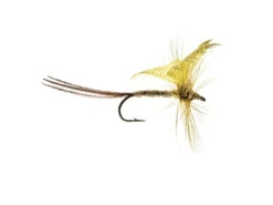 Mallard Drake Mayfly