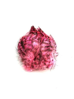 Wapsi Barred Neck Hackle -Bestes Angeln Geschäft neck hackle barred pink