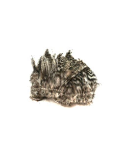 Wapsi Barred Neck Hackle -Bestes Angeln Geschäft neck hackle barred tan