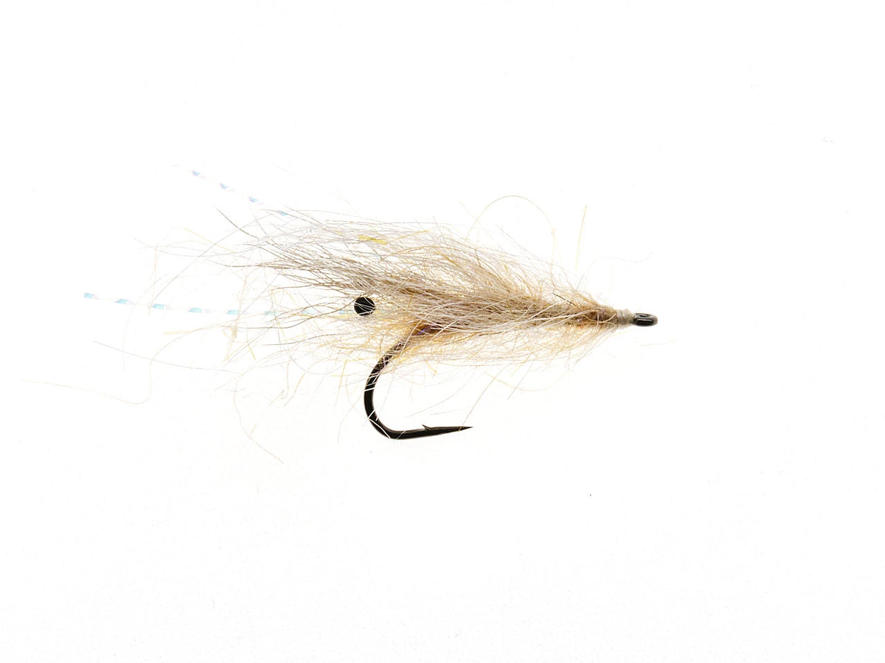 Aura Reje Ginger 3 Aura Reje Ginger