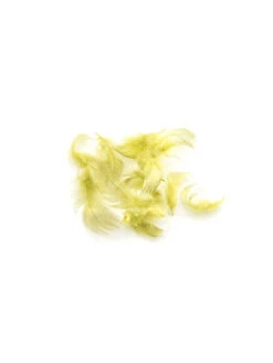 Wapsi Mallard Flank Feathers -Bestes Angeln Geschäft wapsi mallard flank yellow