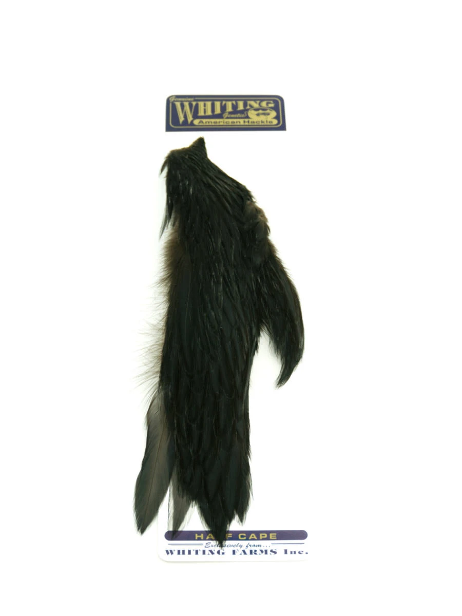 Whiting 1/2 Rooster Cape 16 Whiting 1/2 Rooster Cape – Bild 14