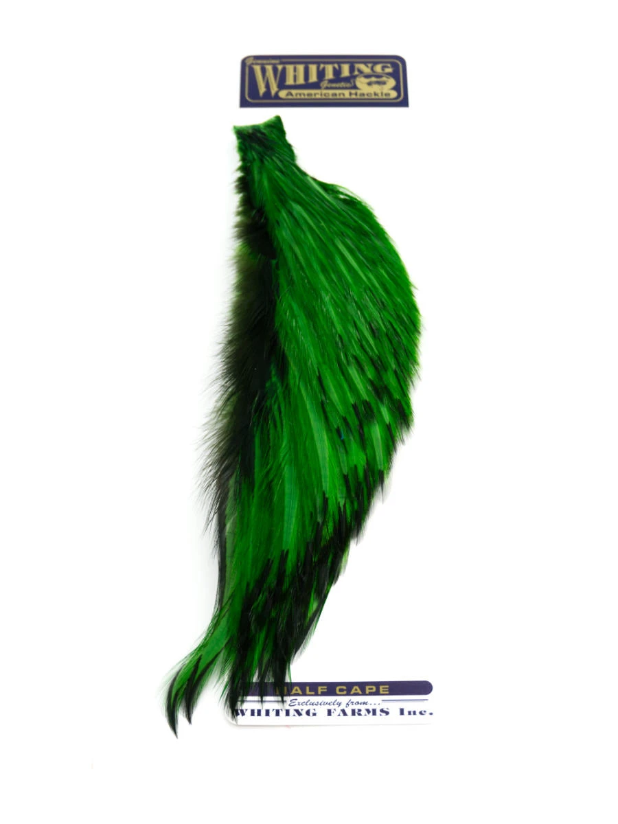 Whiting 1/2 Rooster Cape 4 Whiting 1/2 Rooster Cape – Bild 2