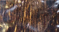 Flashabou -Bestes Angeln Geschäft yeNE f4w